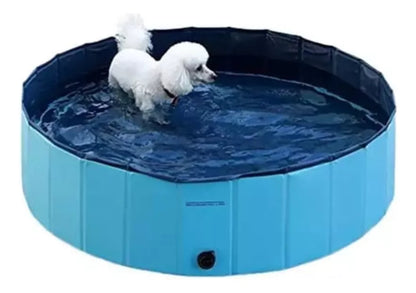 Piscina pileta plegable para mascotas